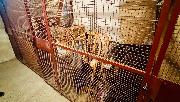 Pron�jem bytu, 1+1, 1.patro, 35,5 m2 + 2x sklep, po rekonstrukci, ul. Na V�slun� � Mari�nsk� L�zn�
