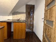 Pron�jem bytu 1+kk 25 m2, Ho�ovice