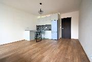 Pron�jem bytu 1+kk, 32,3 m2 s lod�i�, 3,8 m2, Praha 7 - Hole�ovice, ul. Jankovcova