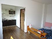 Pron�jem bytu 1+kk 40 m2, H�skov