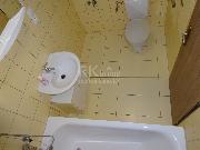 Pron�jem bytu 1+kk 40 m2, H�skov