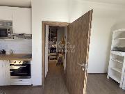 Pron�jem bytu 1+kk 40 m2, Praha