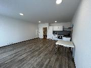 Pron�jem bytu 1+kk, 44m? Kounick�, �esk� Brod