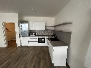 Pron�jem bytu 1+kk, 44m? Kounick�, �esk� Brod, k nast�hov�n� IHNED