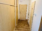 Pron�jem bytu, 2+1, po ��ste�n� rekonstrukci, ul. Skaln�kova - Mari�nsk� L�zn�