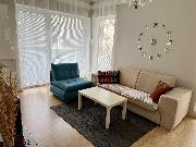 Pron�jem bytu 2+kk, 60m2, balk�n 5m2, gar�ov� st�n�, novostavba, ul. Dvo��kova � Mari�nsk� L�zn�