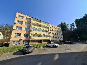 Pron�jem bytu 3+1 Slan�, Na Vav�inci