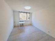 Pron�jem bytu 3+1 Slan�, Na Vav�inci