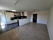 Pron�jem bytu 3+1 Slan�, Na Vav�inci