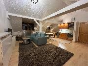 Pron�jem bytu 4+kk 140 m2 ve Slan�m