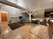 Pron�jem bytu 4+kk 140 m2 ve Slan�m