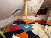 Pron�jem bytu 4+kk 140 m2 ve Slan�m