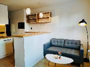 Pronjem svtlho bytu 1+1, 36m2, sklep, 1. patro, ul. Mnesova - Marinsk Lzn