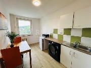 Pron�jem sv�tl�ho bytu 1+1, 30 m2 s p�kn�m v�hledem 300 m od metra Hloub�t�n.
