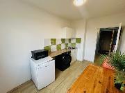 Pron�jem sv�tl�ho bytu 1+1, 30 m2 s p�kn�m v�hledem 300 m od metra Hloub�t�n.