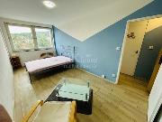 Pron�jem sv�tl�ho bytu 1+1, 30 m2 s p�kn�m v�hledem 300 m od metra Hloub�t�n.