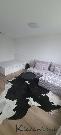 Prodej bytu 1+1/ov/,35m2 Zl�n - V�trn�