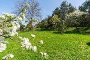 Prodej pozemku - stavebn 1068m2  Lpa nad Devnici