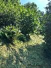 Prodej pozemku - stavebn� 893m2 P��luky u Zl�na