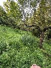 Prodej pozemku - stavebn� 893m2 P��luky u Zl�na