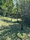 Prodej pozemku - stavebn� 893m2 P��luky u Zl�na