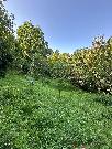 Prodej pozemku - stavebn� 893m2 P��luky u Zl�na