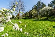 Prodej pozemku 534 m2 Lpa nad Devnic