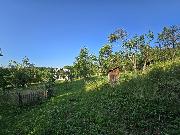 Prodej RD 3+1 /Z/, 5893m 2  Prlov