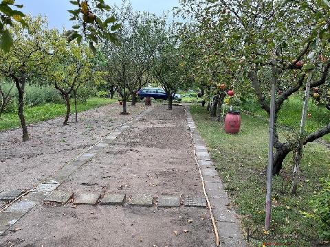 Obr�zek nen� k dispozici.