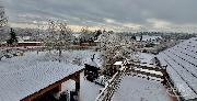 Dvougenera�n� rodinn� d�m na pozemku 2 298 m2, Orlov u P��brami.