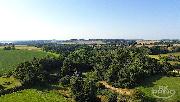 Prodej chata, na pozemku 1000 m2, Veboice, Loket, okr. Beneov