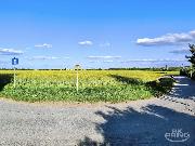 Prodej pole, 16 301 m2, Praha - Vchod, Zdiby