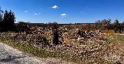 Prodej stavebnho pozemku o celkov vme 1.467 m2 Mnich, st obce Mirotn, okr. Pelhimov