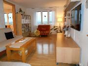Prodej pknho velkho bytu 3+1 /90m2/ v Opon