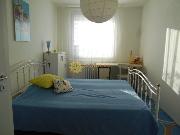 Pron�jem p�kn�ho bytu 2+KK /55m2/ s velkou lod�i�  v Labsk� kotlin� v  Hradci Kr�lov�