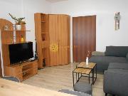 Pron�jem p�kn�ho sv�tl�ho bytu 1+KK /50m2/ ve Svobodn�ch Dvorech