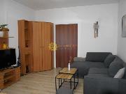 Pron�jem p�kn�ho sv�tl�ho bytu 1+KK /50m2/ ve Svobodn�ch Dvorech