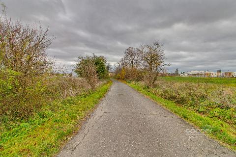 Obrázek není k dispozici.