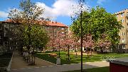 Prodej bytu 3+kk/sklep, 74+2,5 m2 v ulici Loudova, Praha 3 � �i�kov.