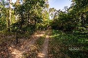 Prodej stavebn�ho pozemku 1 300 m² se srubem, Star� Boleslav � Vesteck�.