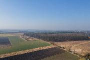 Prodej stavebnho pozemku 1300 m2 v obci Zryby.