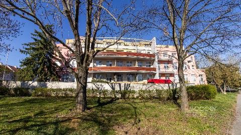 Obr�zek nen� k dispozici.