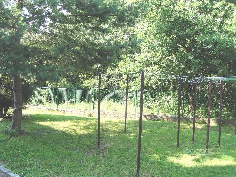 Obr�zek nen� k dispozici.