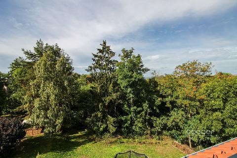 Obr�zek nen� k dispozici.