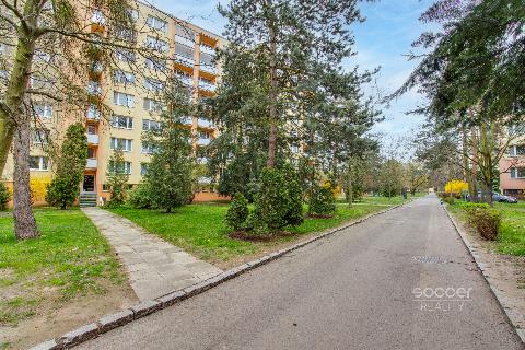 Obr�zek nen� k dispozici.