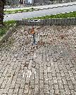 Pronjem venkovnho parkovacho stn v ulici Kudrnova, Praha 5 - Motol. 