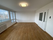 Pronjem byt 3+1, Nov Jin, Riegrova