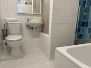 Pronjem byt 1+1, Frdek-Mstek, 28. jna