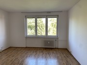 Pronjem byt 1+1, Pbor, dr. ejky