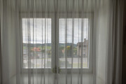 Pronjem zazen apartmn, Star Jin